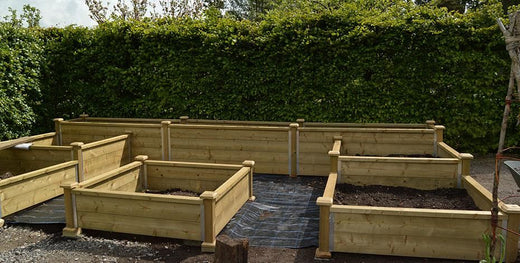 Raised beds are ideal if you lack mobility