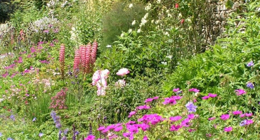 Now is the time to start preparing a new herbaceous border