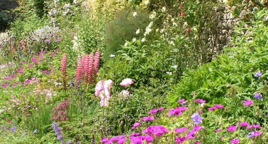 How To Add Height To Your Herbaceous Border – Hayes Garden World