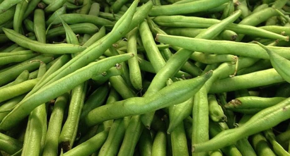 How To Grow Dwarf Beans In A Container