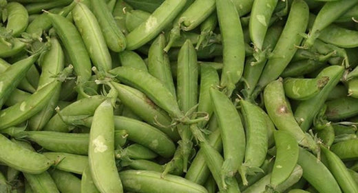 Grow your own tasty peas and beans