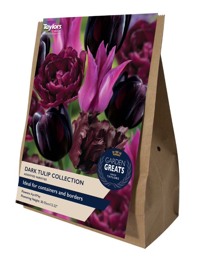 Taylor's Dark Tulip Collection – Hayes Garden World