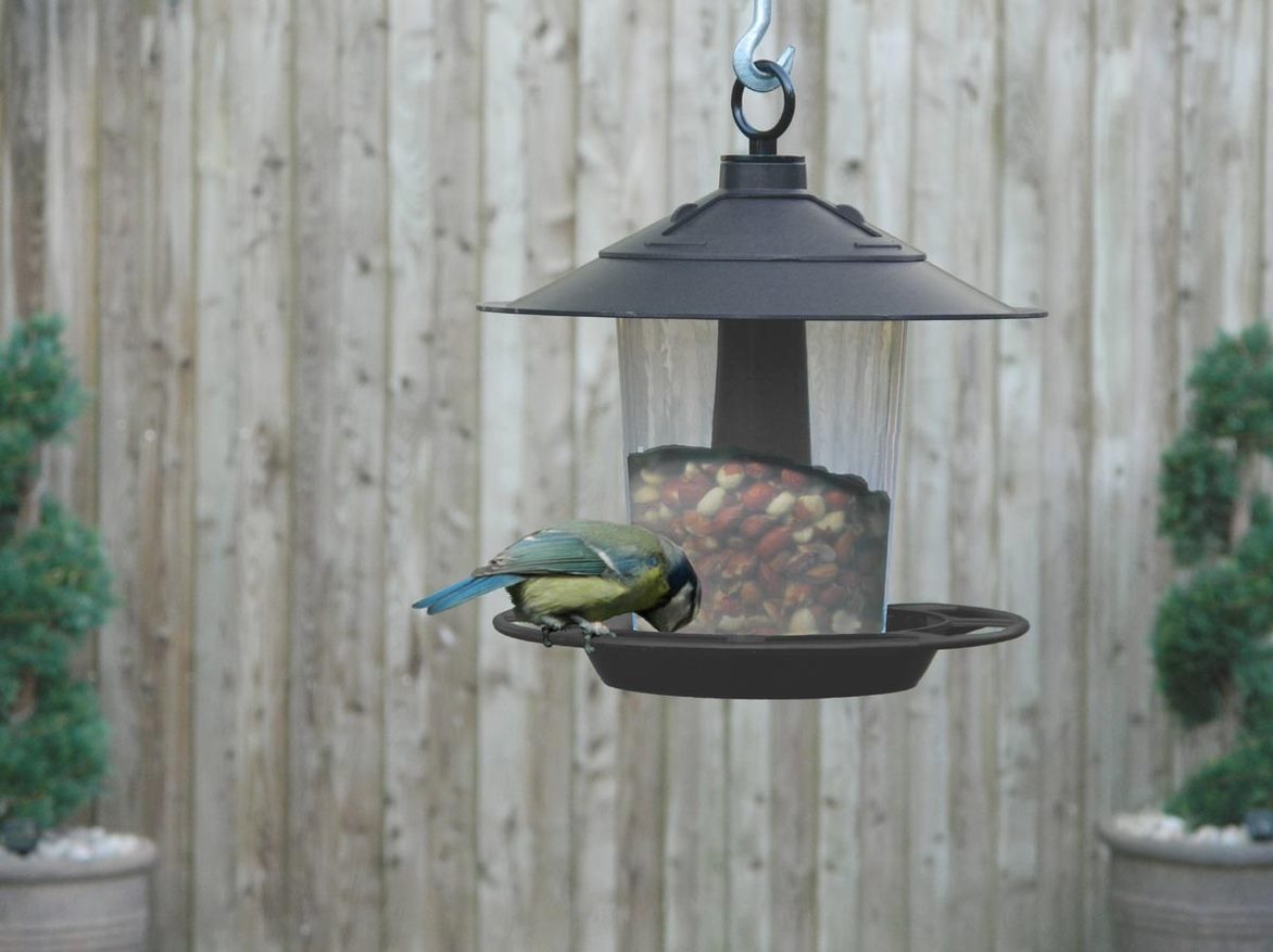 Garland Lantern Bird Seed & Nut Feeder Anthracite - Anthracite – Hayes ...