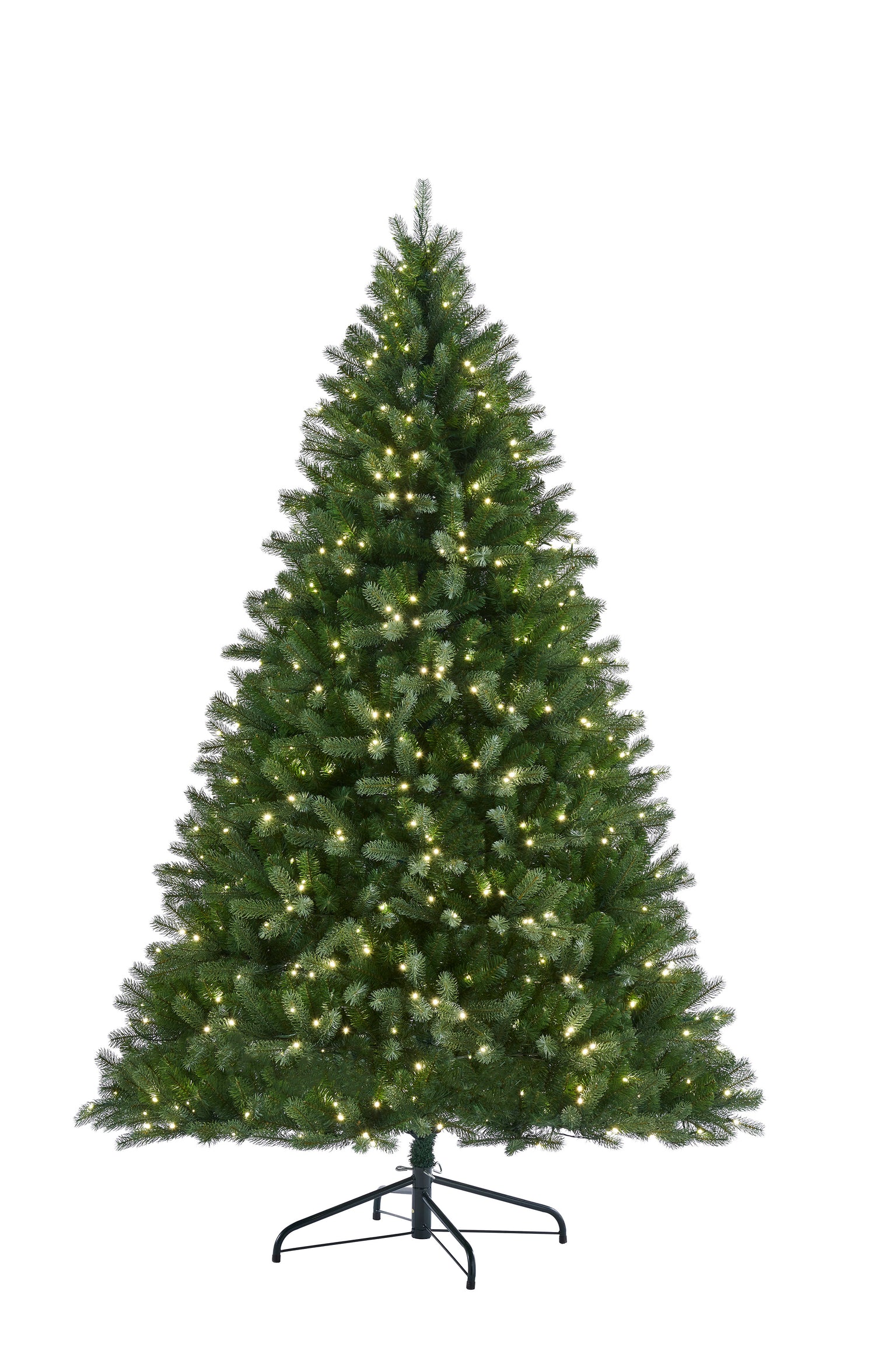 Arundel_Spruce.jpg