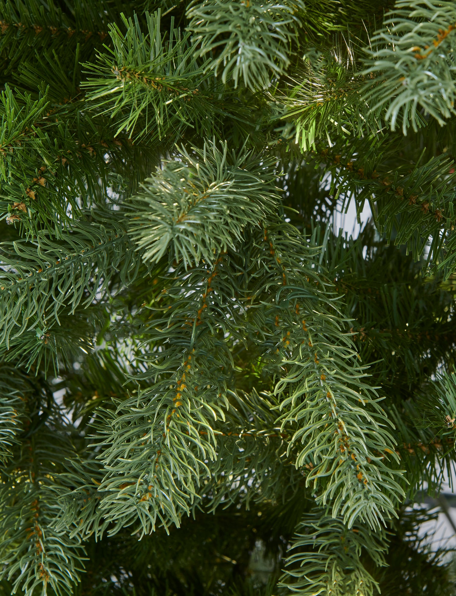 Arundel_Spruce_Unlit_B.jpg