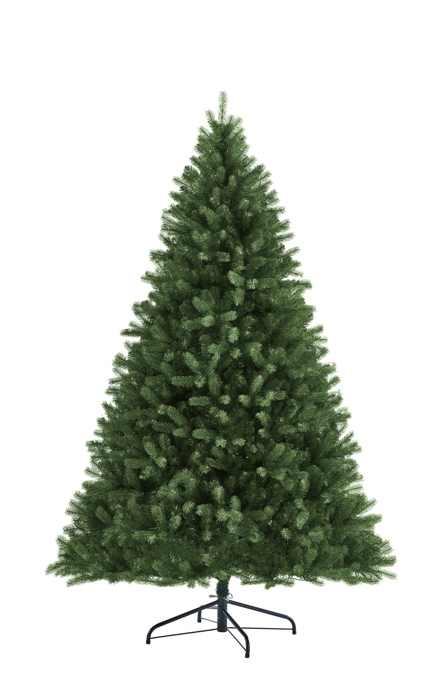 Arundel_Spruce_Unlit_WB.jpg