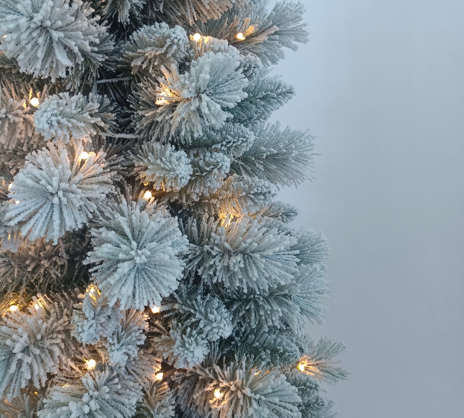 Frosted Arden Pine with Lights CLOSE UP.jpg