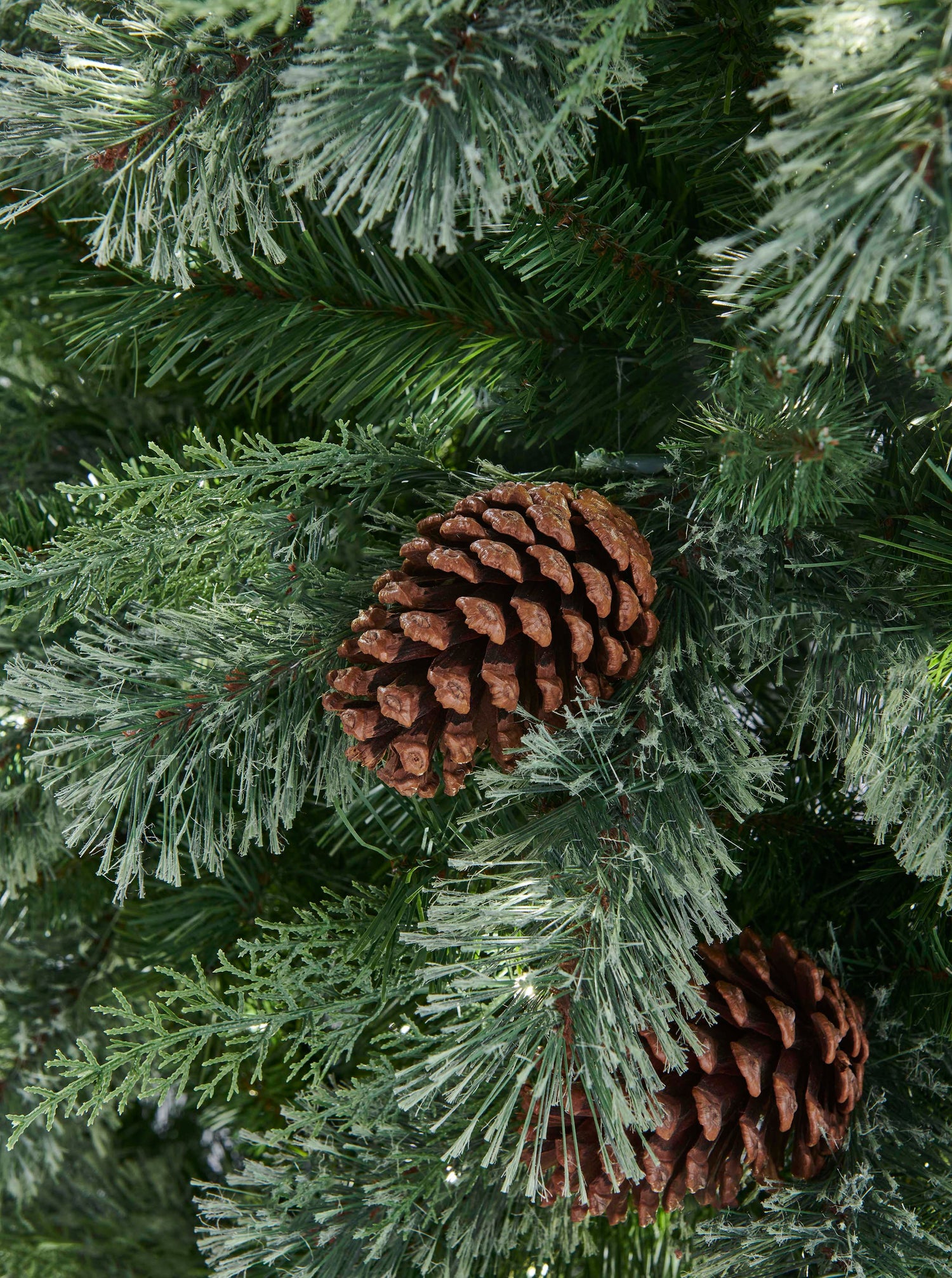 Hollingworth_Spruce_Unlit_B.jpg