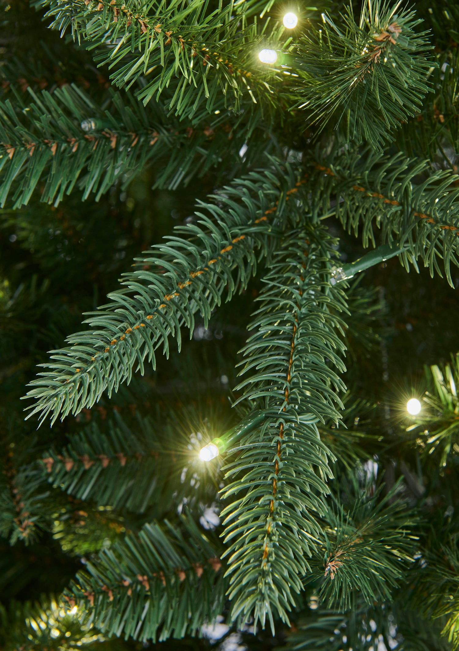 Somerset_Spruce_B.jpg