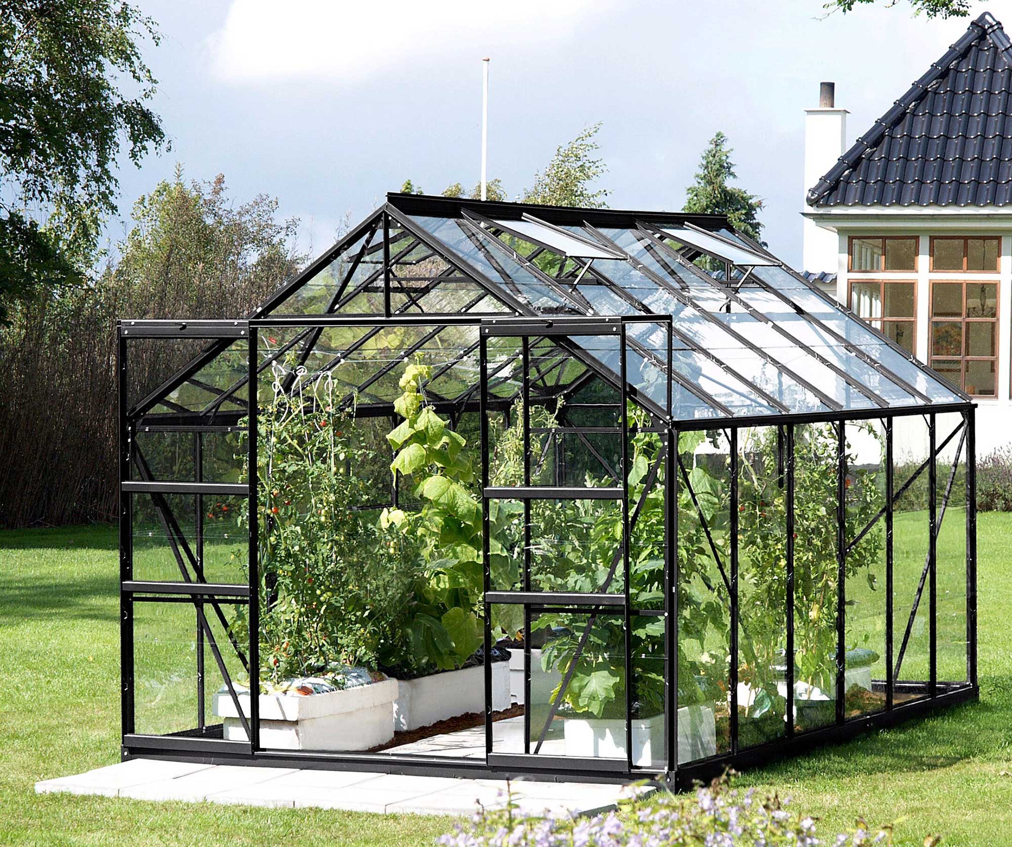 Vitavia Jupiter 9900 Greenhouse in Black - Horticultural Glass – Hayes ...