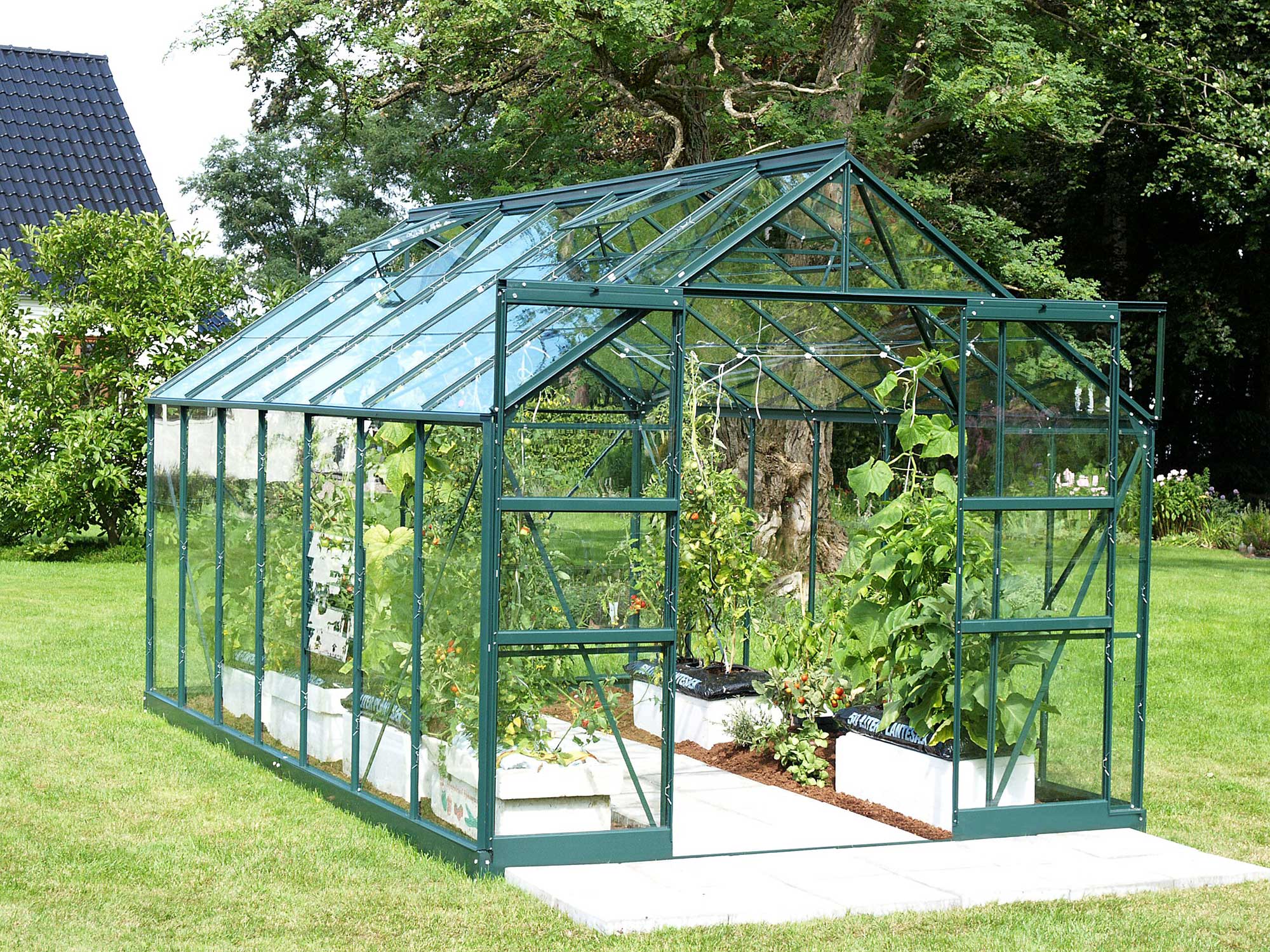 Vitavia Phoenix 11500 Greenhouse in Green - Polycarbonate Glass – Hayes ...